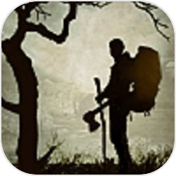 《原神》「旋舞纪行」活动敞开